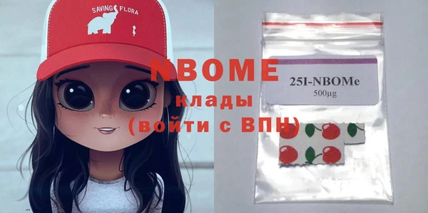 spice Бородино