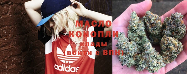 spice Бородино