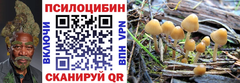 Псилоцибиновые грибы Magic Shrooms  Нолинск 